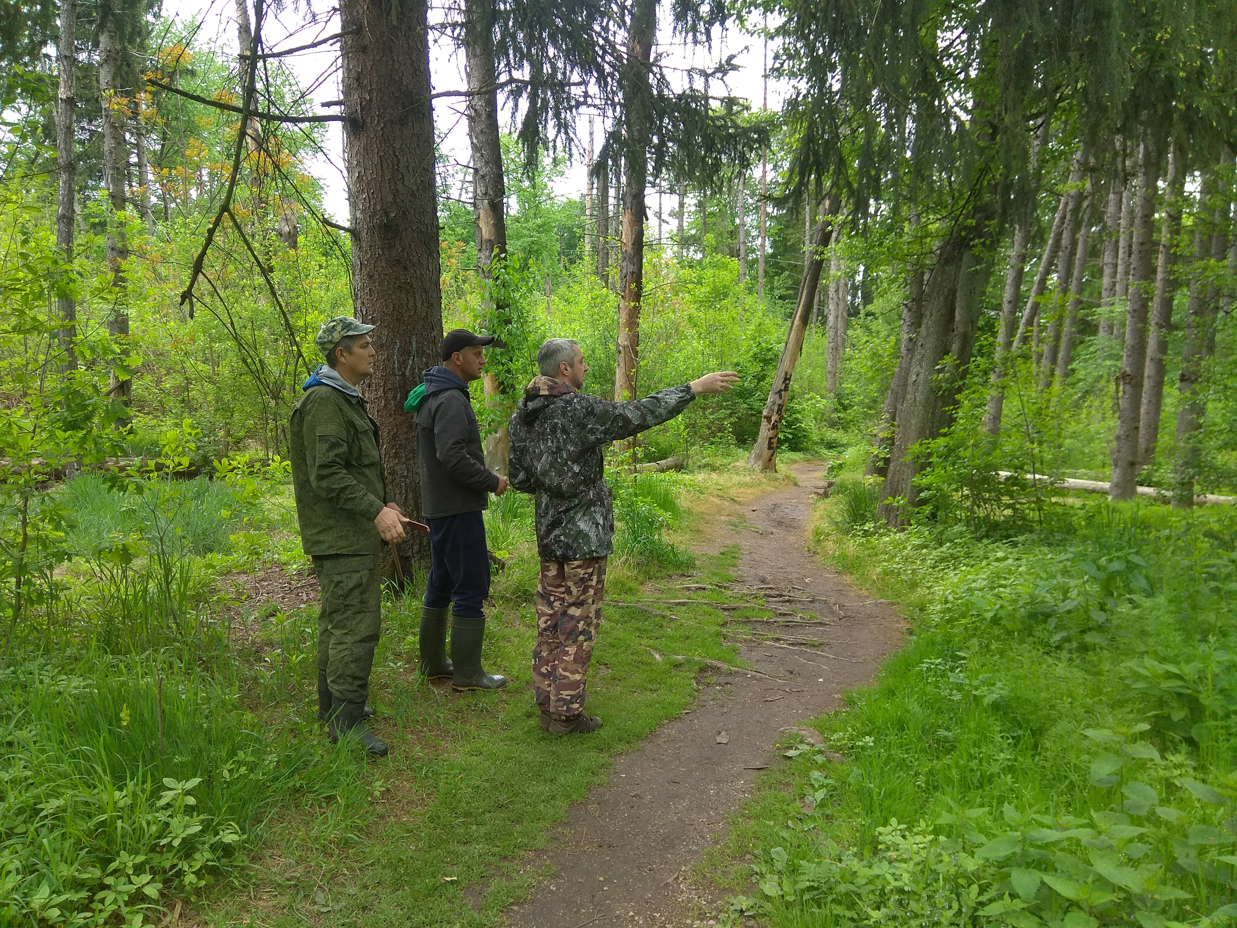 проект алания парк во владикавказе